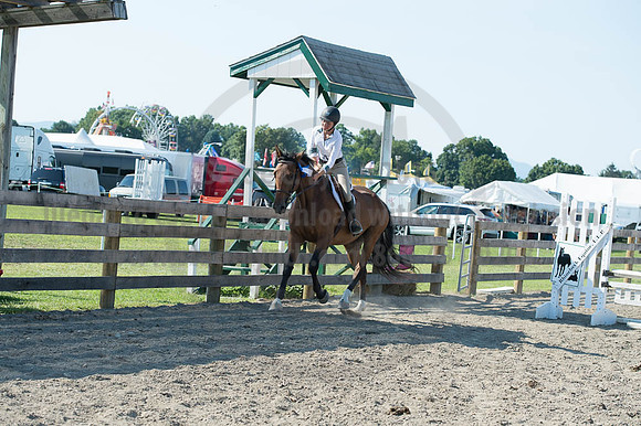 2016DCF_08262016_SCL_0879