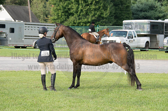 2016DCF_08252016_SCL_9567