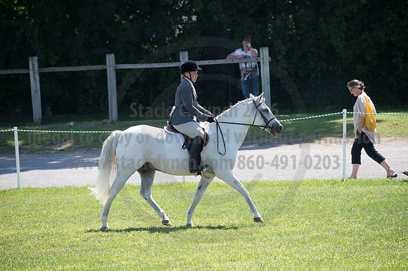 2016DCF_08262016_SCL_0532
