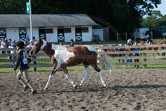 2016DCF_08242016_SCL_8333
