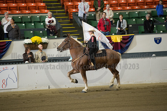 NABC8_10132016_SCL_7034
