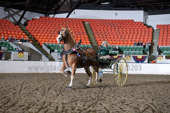 BigE_20221002-SCL_4532