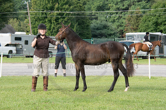 2016DCF_08252016_SCL_9569