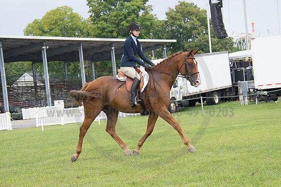 2016DCF_08262016_SCL_0396
