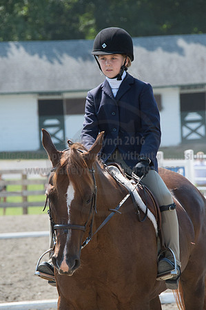 2016DCF_08242016_SCL_8792