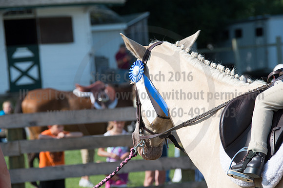 2016DCF_08242016_SCL_8538