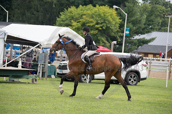 2016DCF_08252016_SCL_0053