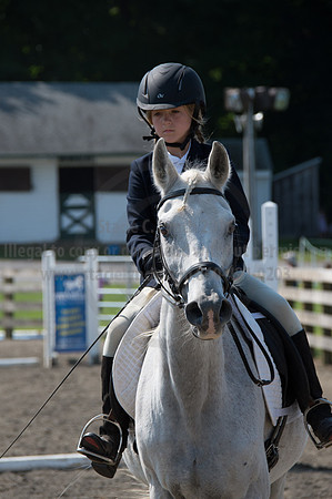 2016DCF_08242016_SCL_8711