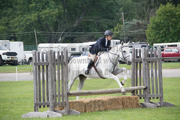 2016DCF_08262016_SCL_0342
