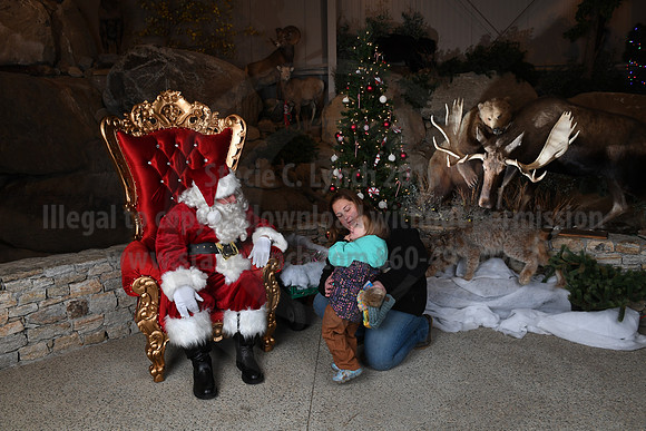 Action Wildlife Christmas-056