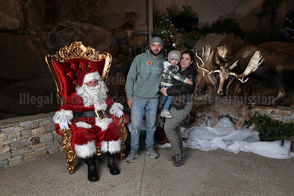 Action Wildlife Christmas-058