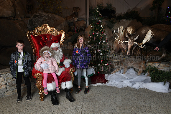 Action Wildlife Christmas-062