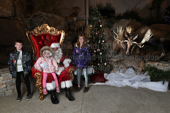 Action Wildlife Christmas-063