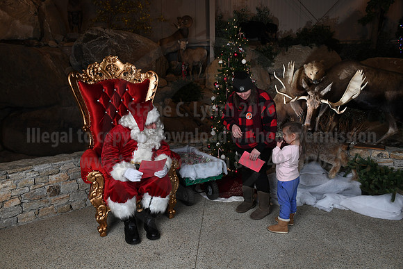 Action Wildlife Christmas-064