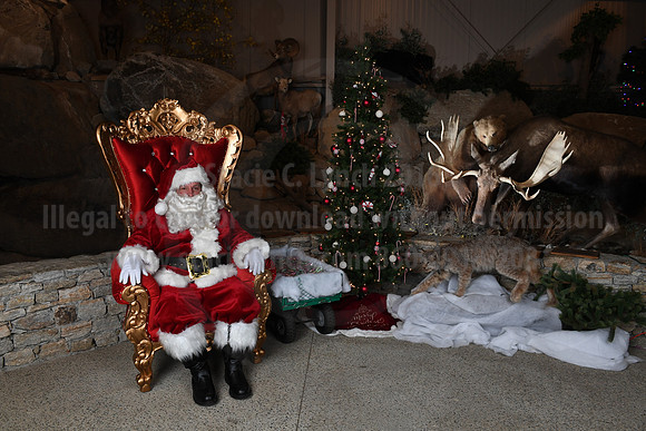 Action Wildlife Christmas-070