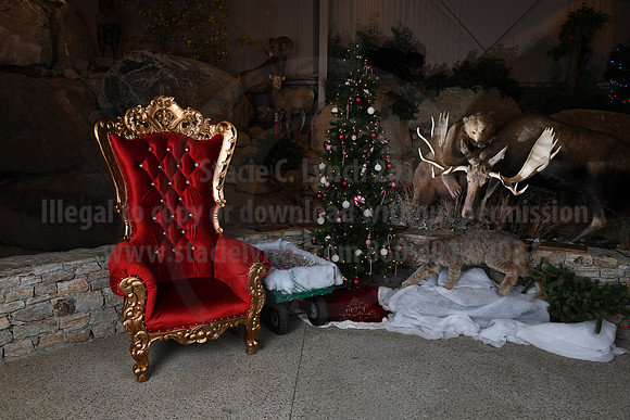 Action Wildlife Christmas-071