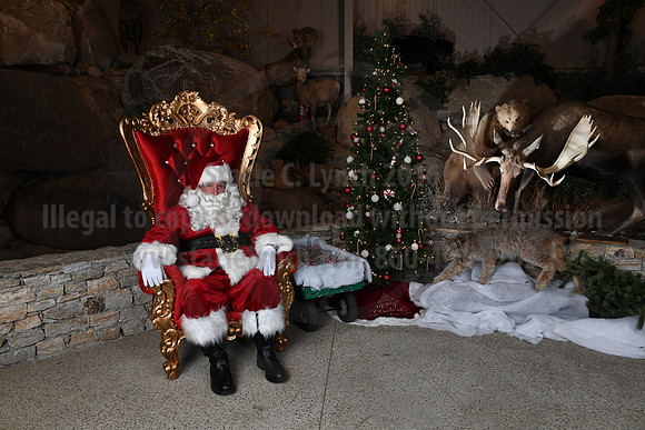 Action Wildlife Christmas-048