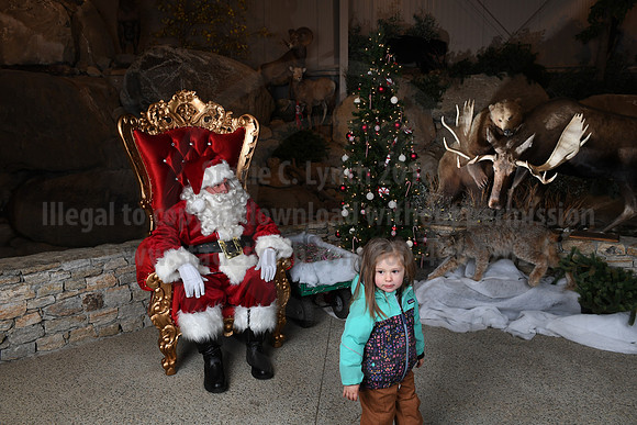 Action Wildlife Christmas-049