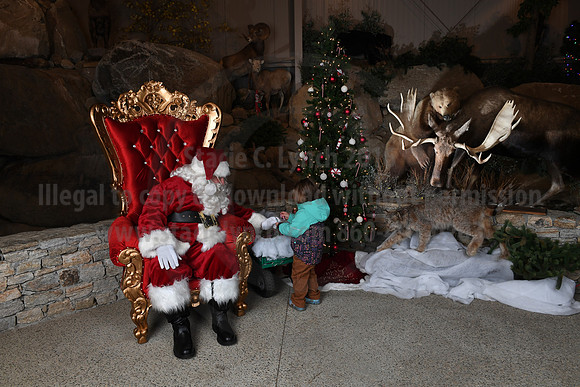 Action Wildlife Christmas-050