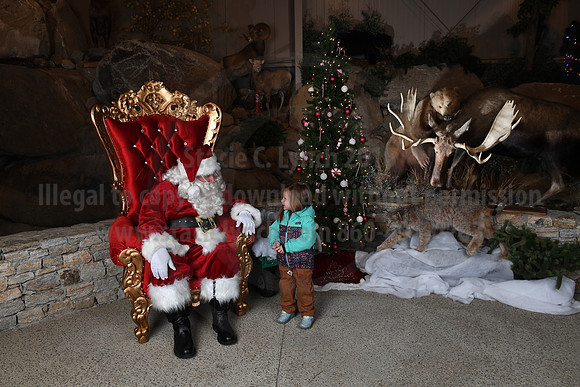Action Wildlife Christmas-051