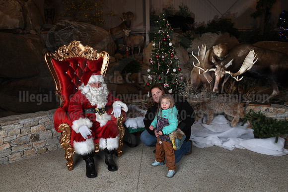 Action Wildlife Christmas-053