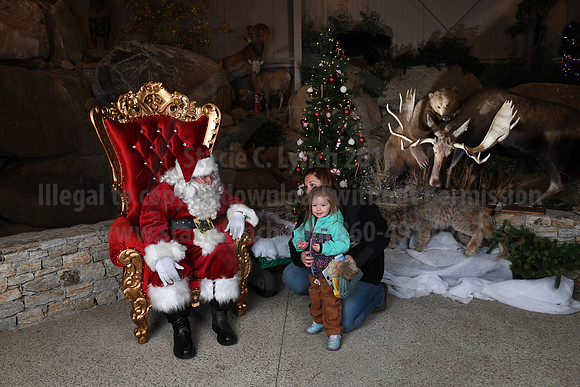 Action Wildlife Christmas-054