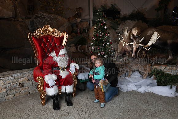 Action Wildlife Christmas-055