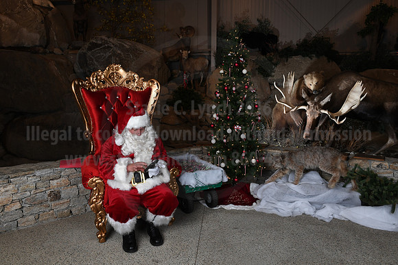 Action Wildlife Christmas-067
