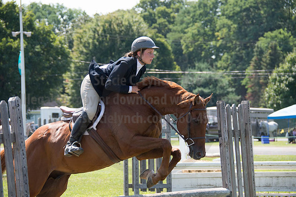 2016DCF_08262016_SCL_0697