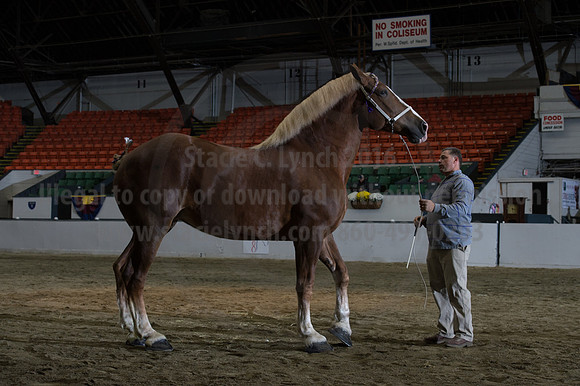 NABC8_10152016_SCL_1836