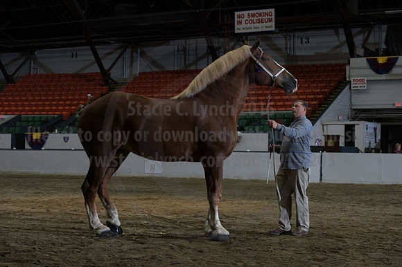 NABC8_10152016_SCL_1839