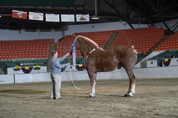 NABC8_10152016_SCL_1818