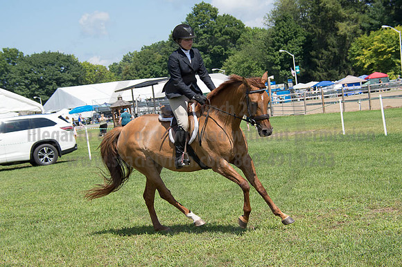 2016DCF_08262016_SCL_0498