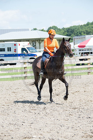 2016DCF_08262016_SCL_0506
