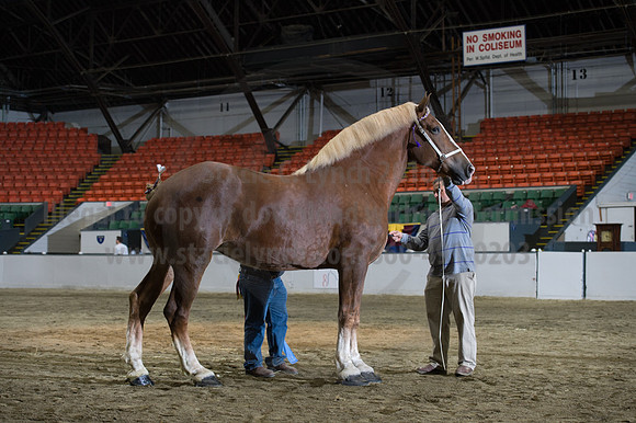 NABC8_10152016_SCL_1855