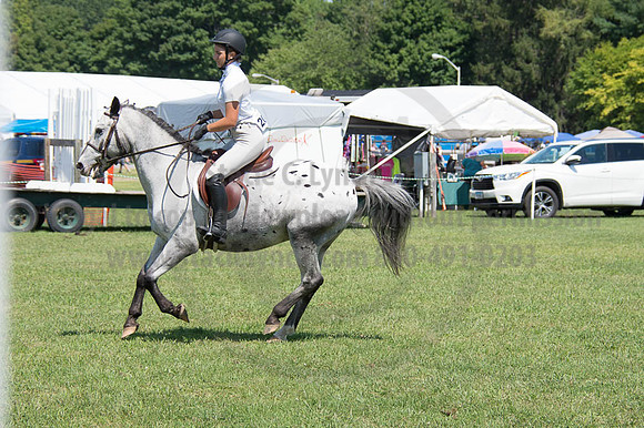 2016DCF_08262016_SCL_0529