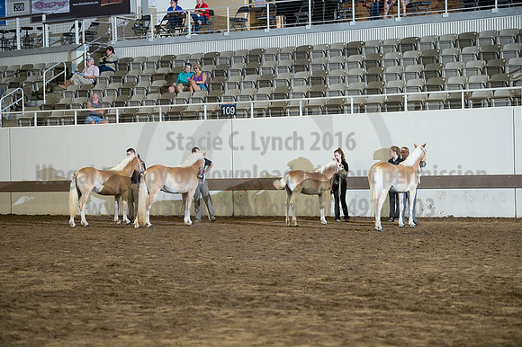ISF_08192016_SCL_4660