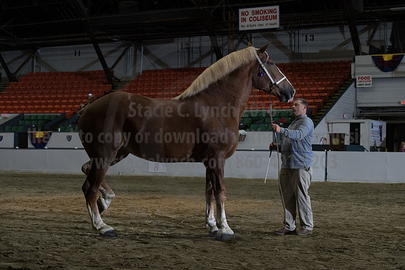 NABC8_10152016_SCL_1838