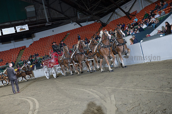 NABC8_10142016_SCL_8599