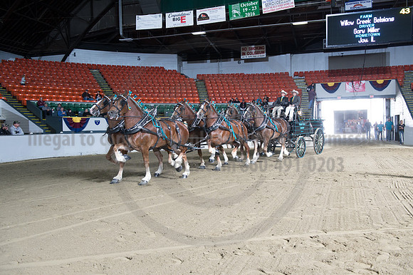 NABC8_10142016_SCL_8615