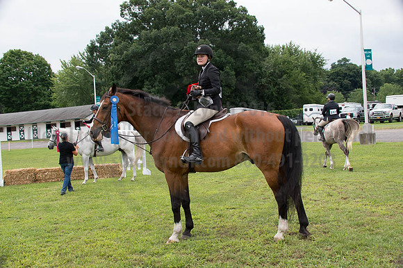 2016DCF_08252016_SCL_0051