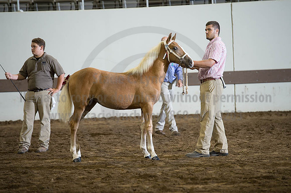 ISF_08192016_SCL_4606