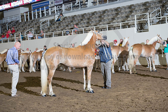 ISF_08192016_SCL_4088
