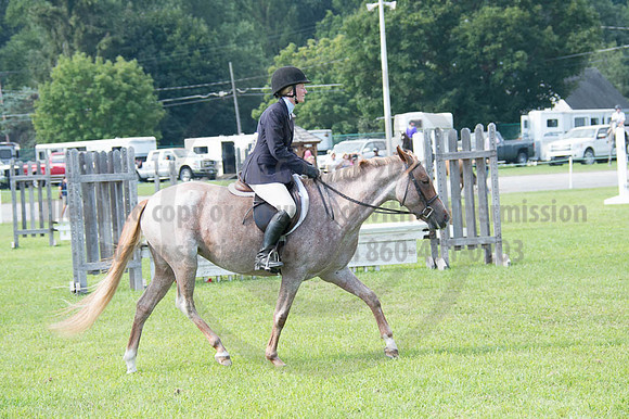 2016DCF_08262016_SCL_0266