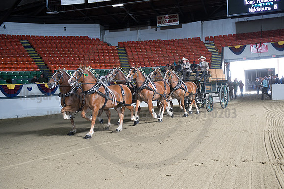 NABC8_10142016_SCL_8523