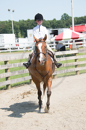2016DCF_08242016_SCL_9109