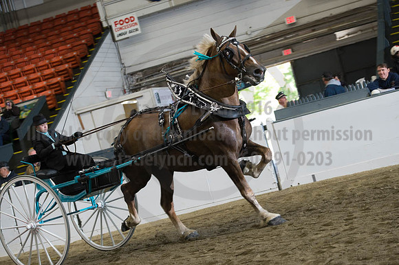 NABC8_10112016_SCL_1460