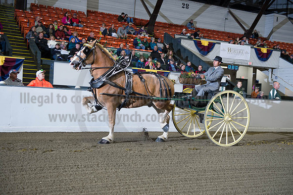 BIGE_09302016_SCL_4386