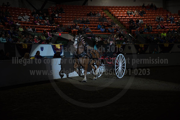 BIGE_09302016_SCL_4472