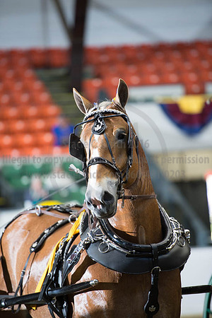 NABC8_10112016_SCL_1439